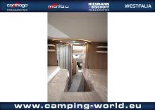 Fahrzeugbild Malibu T 490 LE #74
