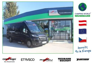 Bild Van Diversity 640 LE K charming cou ...