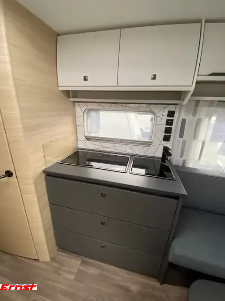 Fahrzeugbild Fendt Apero 495 SG #4