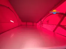 Fahrzeugbild VW California T6.1 Ocean*DSG*TOP*PREIS* Viele Extras #17