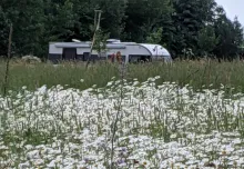 Fahrzeugbild Itineo MB 740 #9