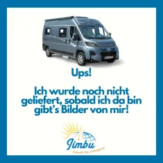 Bild 1 Knaus Van TI Plus 650 MEG Platinum Selection 160PS | Automatik 4015