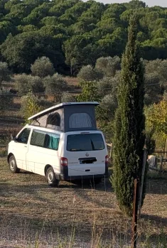 Bild 1 VW Sonstige T5