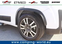 Fahrzeugbild Malibu Van Compact 600 LE #15