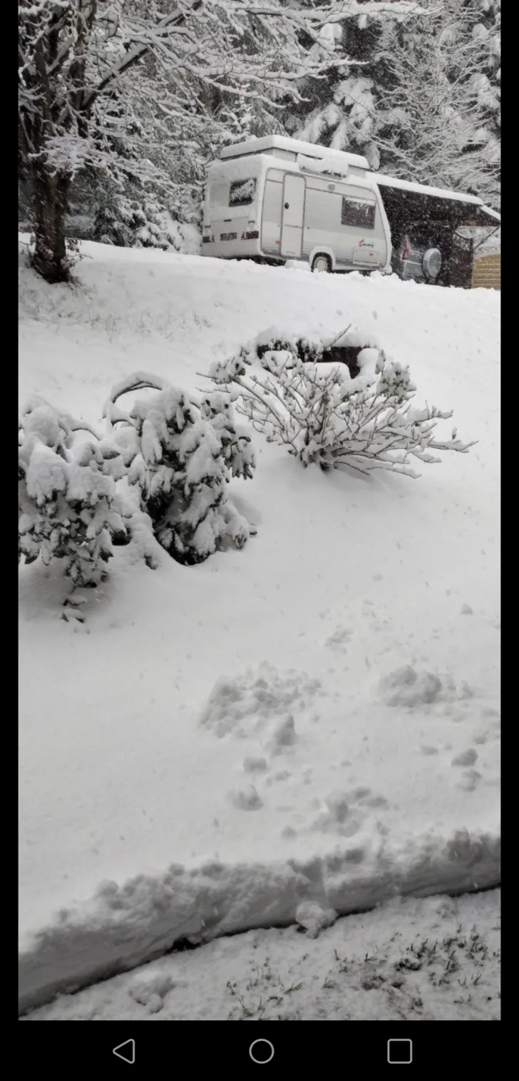 Fahrzeugbild Frankia Sonstige 445 #4