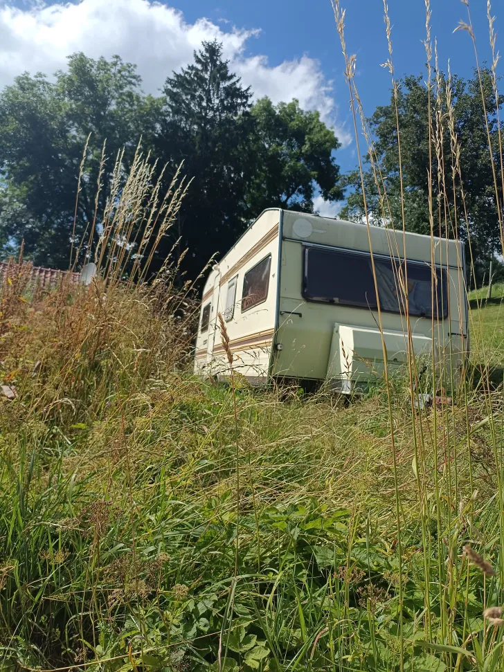 Fahrzeugbild Winner Sonstige #1
