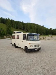 Fahrzeugbild Mercedes-Benz Vario #1