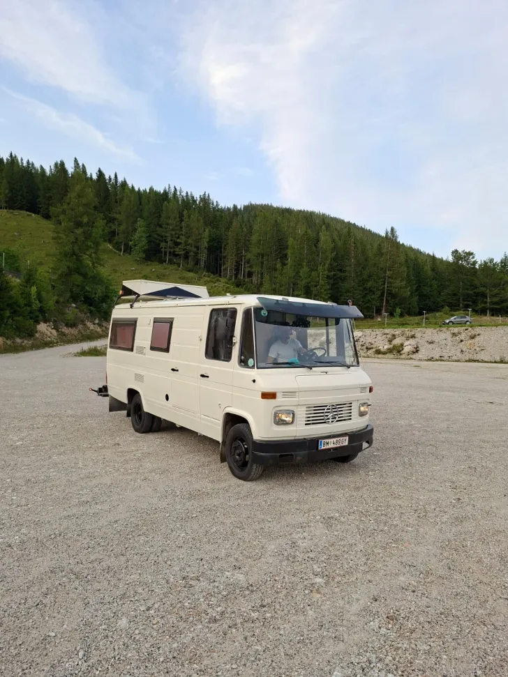 Fahrzeugbild Mercedes-Benz Vario #1