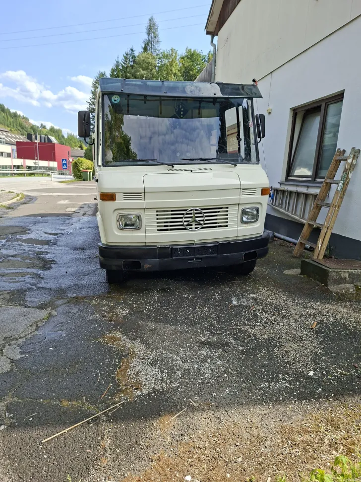 Fahrzeugbild Mercedes-Benz Vario #11