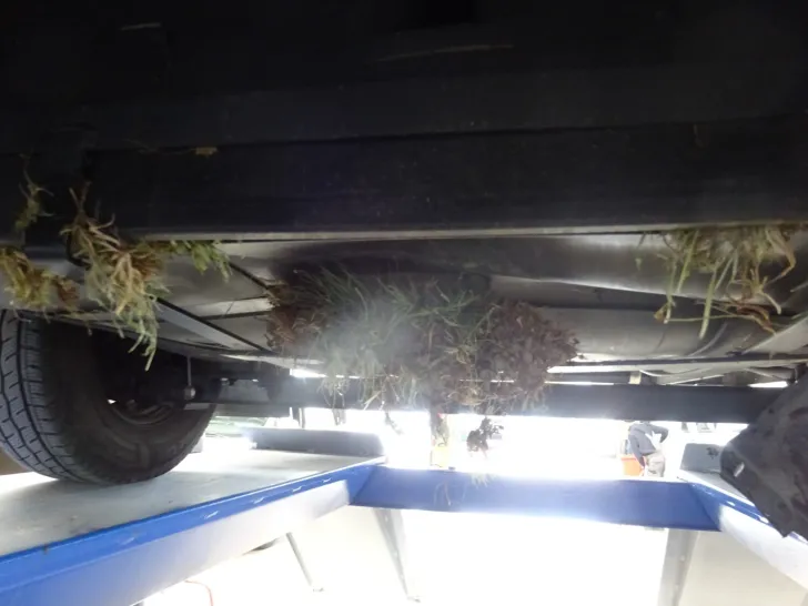 Fahrzeugbild Dethleffs Just 90 T 6812 EB #10