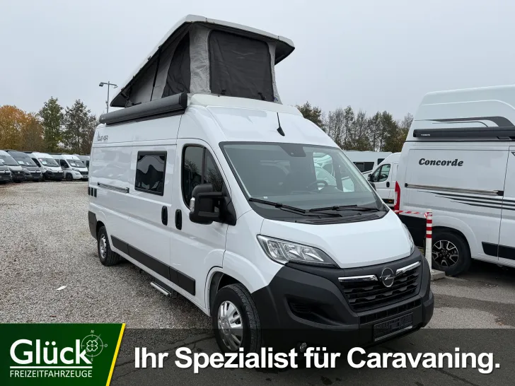 Fahrzeugbild Clever VAN CELEBRATION #1