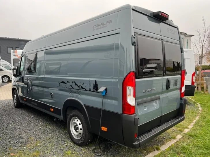 Fahrzeugbild Weinsberg CaraLife 630 LQ #4