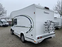 Fahrzeugbild Chausson Alkoven C514 First Line Markise #6