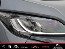 Fahrzeugbild Dethleffs Globetrail 600 DS Fiat Dieselheizung Digital LED #36
