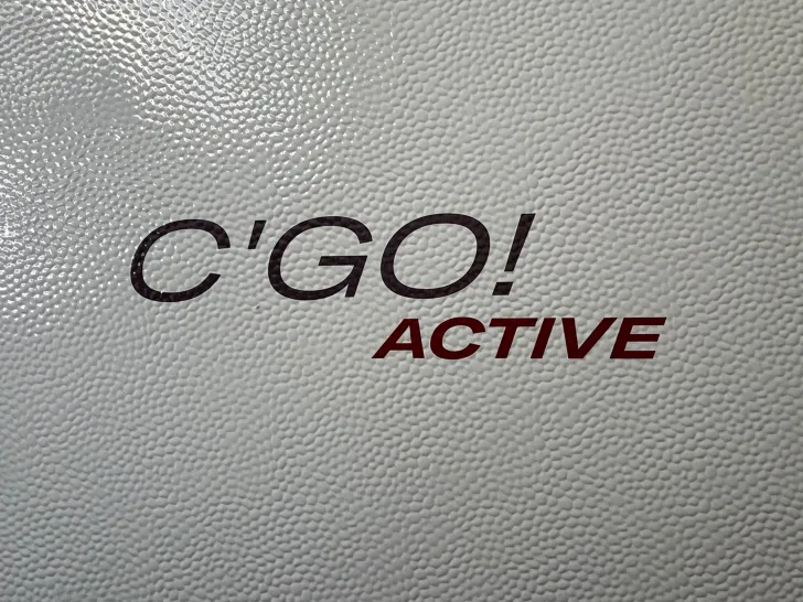 Fahrzeugbild Dethleffs C'GO ACTIVE 495 QSK #4