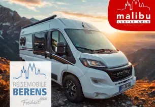 Bild Van Diversity 600 DB K