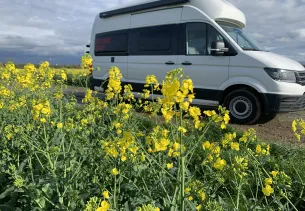 Bild Grand California 600