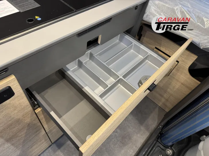 Fahrzeugbild Dethleffs Globetrail 600 DS Fiat #13