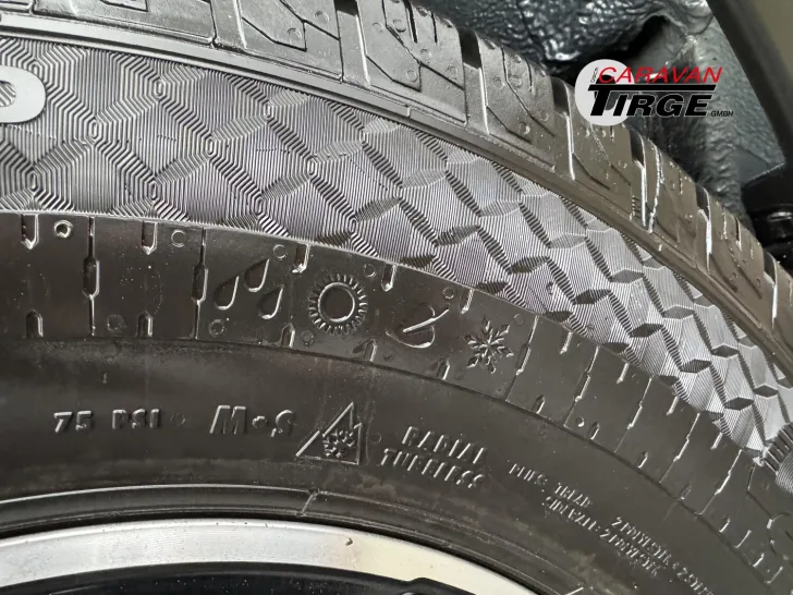Fahrzeugbild Dethleffs Globetrail 600 DS Fiat #25