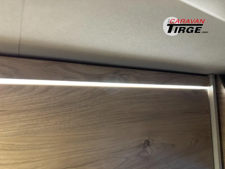 Fahrzeugbild Dethleffs Globetrail 540 DR Fiat #21