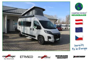 Bild Papillon<br/>PC 6.0