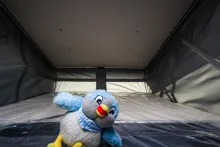 Fahrzeugbild Knaus BoxLife Pro 540 ROAD 8 Pakete | Vollausstattung #14