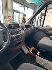 Fahrzeugbild Carthago Mondial 45 R Alkoven Rundsitzgruppe #17