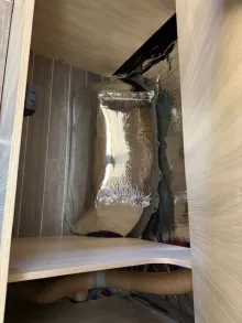 Fahrzeugbild Forster V 636 EBL Vibe Livin up pro Vibe Edition #15