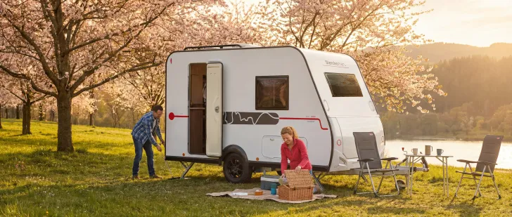 Fahrzeugbild Sterckeman Easy 325DD Anniversary Edition #19