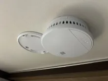 Fahrzeugbild Bürstner Premio 550 TK Limited #15