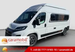 Bild Papillon PC 6.0