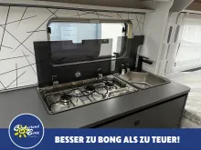 Fahrzeugbild Fendt Apero 495 SFB Modell 2026 #9