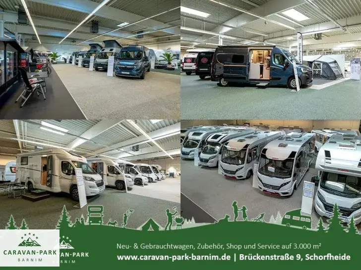 Fahrzeugbild Dethleffs Globebus Performance 4x4 T 16 #23