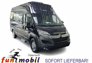 Bild D-Line Roadcruiser XL