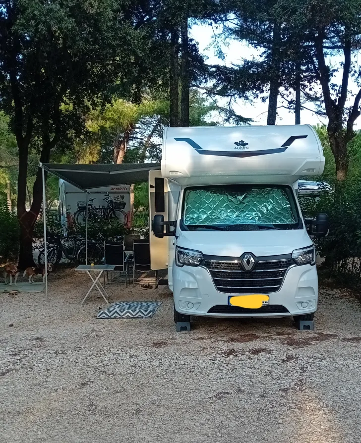 Fahrzeugbild Ahorn Camp Canada AE top gepflegt #9