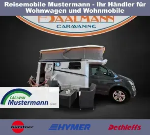Bild X-CURSION CUV<br/>500 LT EDITION [P ...