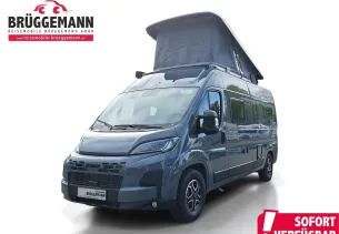Bild Camper Van Redwood 600