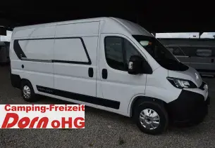 Bild Papillon<br/>PC 6.0