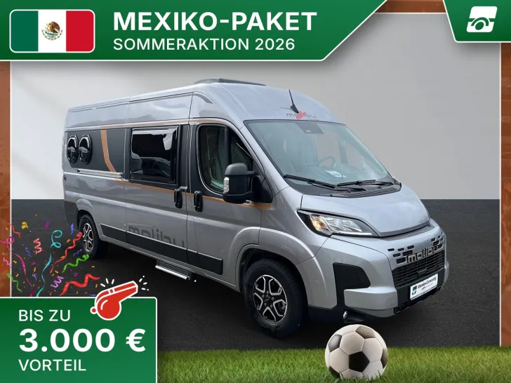 Fahrzeugbild Malibu Van diversity 600 DB K Fiat (710) #1