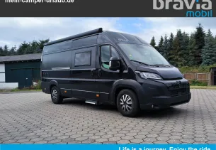 Bild Swan 636
