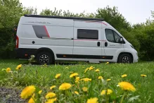 Fahrzeugbild Roller Team LIVINGSTONE Sport DUO XL #4
