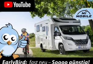 Bild T 699 HB