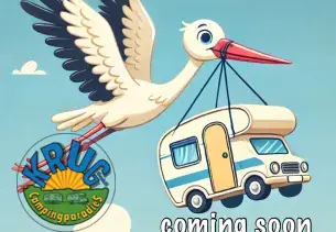 Bild Camper Van Cliff 540