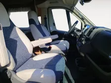 Fahrzeugbild Weinsberg CaraSuite 650 MEG #11