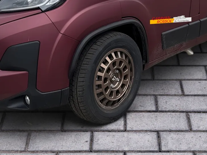 Fahrzeugbild Dethleffs Globetrail 75K 600 ER Fiat #6