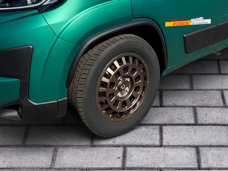 Fahrzeugbild Dethleffs Globetrail 75K 600 ER Fiat #6