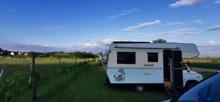 Grundriss Tag Fiat Ducato Hunde Camper
