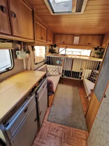 Fahrzeugbild Fiat Ducato Hunde Camper #4