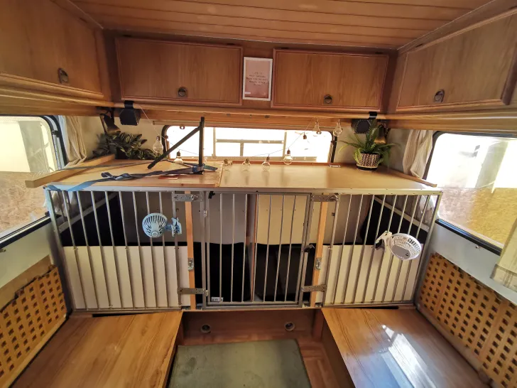 Fahrzeugbild Fiat Ducato Hunde Camper #7