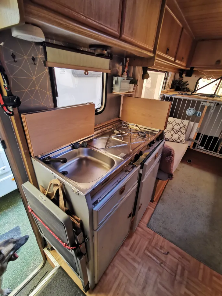 Fahrzeugbild Fiat Ducato Hunde Camper #11